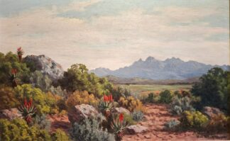 LOT 310 (32799) Est R1000 to R3000 - Volschenk, Vera (SA 1899 - 1987)