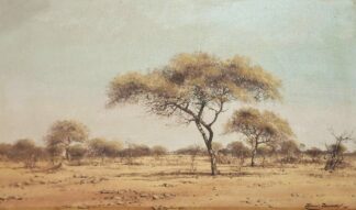 LOT 394 (33044) Est R500 to R1500 - Badenhorst, Francois (SA 1934 - 2013)
