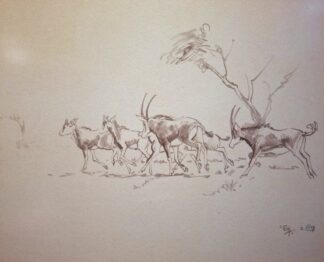LOT 411 () Est R500 to R1500 - Eloff, Zacharias (Zakkie) (SA 1925 - 2004)