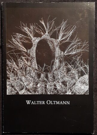 LOT 546 (31095648) Est R50 to R150 - Standard Bank Young Artist 2001 - Walter Oltmann