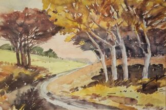 LOT 384 (32961) Est R400 to R800 - Roos, Dingi (SA 1926 - 2010)