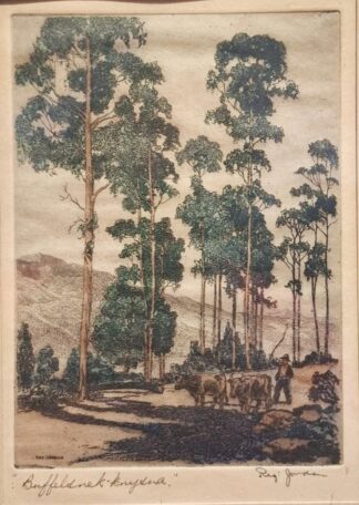 LOT 357 (329674) Est R500 to R1500 - Jordan, Reg (SA - 20th Century)